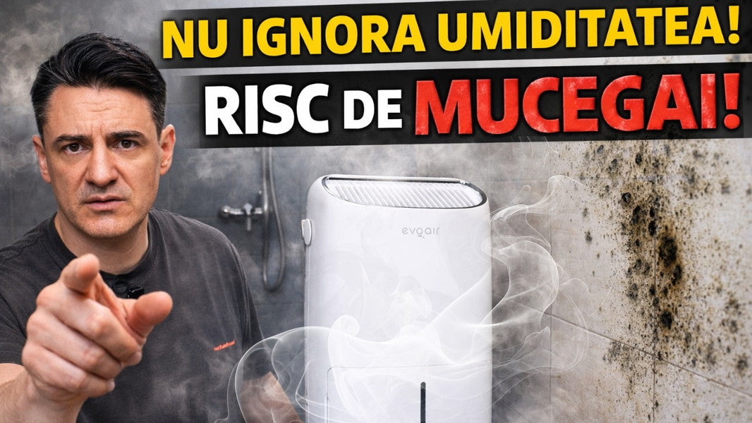 Așa ne stricăm sănătatea! Vezi asta dacă ai umezeală în casă
