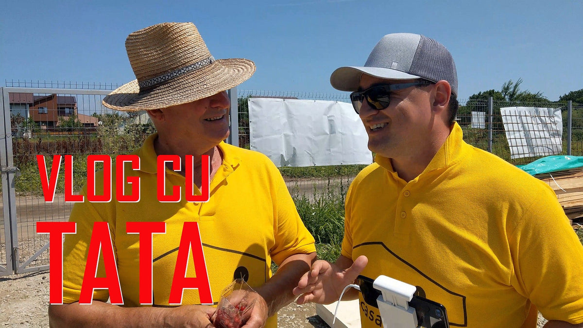 VLOG - L-am lăsat pe tata să supravegheze șantierul