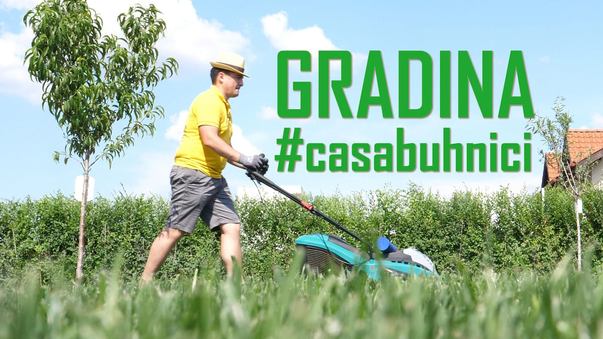 #casabuhnici - Totul despre grădină