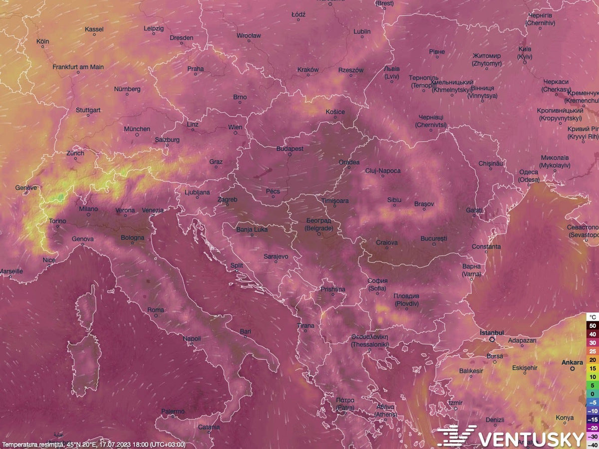 #5 Vara în care vom înțelege