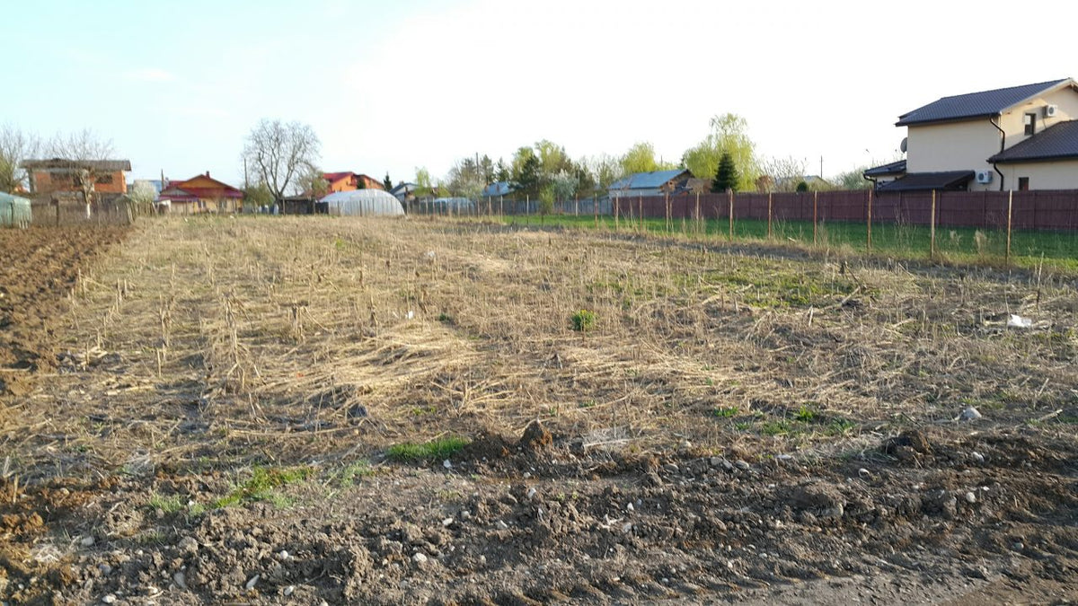 #casabuhnici Ep.6 - Negocierea, cumpărarea și primul impozit