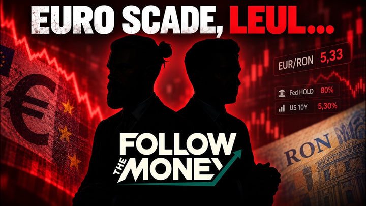 Euro scade, leul se prăbușește. Unde ținem banii?